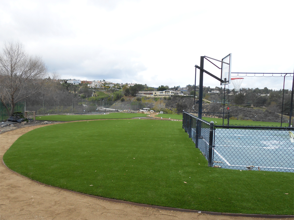 Artificial Lawn Laguna Woods, California Indoor Playground, Commercial Landscape