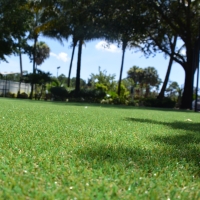 Artificial Grass Buena Park, California Lawn And Garden, Parks