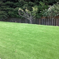 Artificial Grass Carpet Seal Beach, California Landscape Design, Backyards