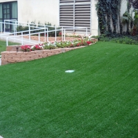 Artificial Grass Laguna Niguel, California Putting Green Carpet, Front Yard Ideas