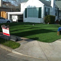 Artificial Lawn Huntington Beach, California Backyard Playground, Front Yard Landscaping