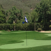 Artificial Lawn La Habra, California Putting Green Turf