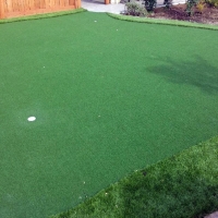 Artificial Turf Cost Coto De Caza, California Home And Garden