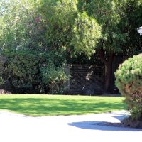 Artificial Turf Installation Laguna Hills, California Dog Run, Front Yard Design