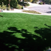 Artificial Turf Installation Newport Beach, California Landscape Photos, Front Yard Landscape Ideas