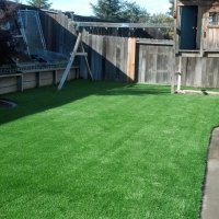 Artificial Turf San Clemente, California Lawn And Landscape, Backyard Landscape Ideas