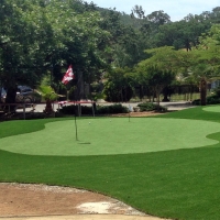 Fake Grass Buena Park, California Backyard Deck Ideas, Small Front Yard Landscaping