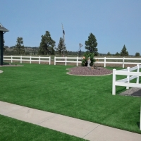 Fake Grass Carpet Dana Point, California Lawn And Garden, Backyard Design