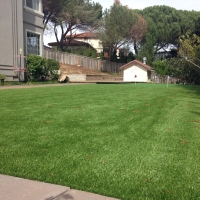 Fake Grass Coto De Caza, California Artificial Putting Greens, Backyard