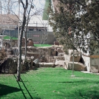 Fake Grass Seal Beach, California Landscape Rock, Backyard Landscape Ideas