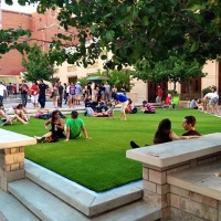 Fake Turf Orange, California Landscape Ideas, Commercial Landscape