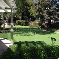 Fake Turf San Joaquin Hills, California Backyard Playground