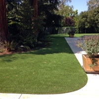 Fake Turf Stanton, California Backyard Deck Ideas, Front Yard Landscape Ideas