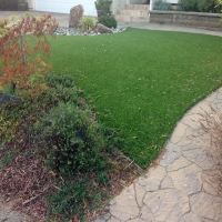 Faux Grass Costa Mesa, California Cat Playground, Beautiful Backyards