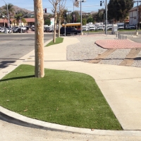 Faux Grass Dana Point, California Gardeners, Commercial Landscape