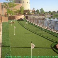 Faux Grass North Tustin, California Putting Green Carpet, Backyard Landscape Ideas