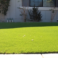 Grass Carpet Anaheim, California Landscape Rock, Landscaping Ideas For Front Yard