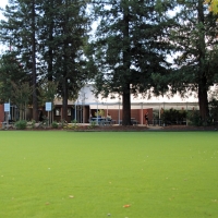 Grass Carpet Garden Grove, California Upper Playground, Parks