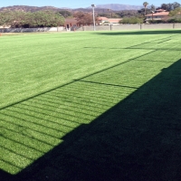 Grass Carpet La Habra, California City Landscape