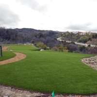 Grass Carpet San Joaquin Hills, California Roof Top