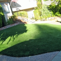 Grass Carpet Stanton, California Gardeners, Front Yard Ideas