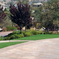 Grass Turf Costa Mesa, California Landscape Photos, Landscaping Ideas For Front Yard