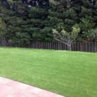 Grass Turf Fountain Valley, California Landscaping Business, Small Backyard Ideas