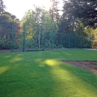 Grass Turf La Palma, California Roof Top, Recreational Areas