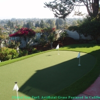 Grass Turf Stanton, California Roof Top, Backyard Landscaping Ideas