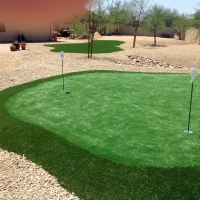 Grass Turf Tustin, California Indoor Putting Greens, Backyard Garden Ideas