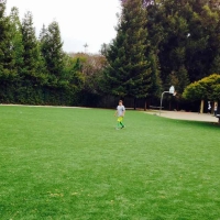 Green Lawn Dana Point, California Backyard Playground, Recreational Areas