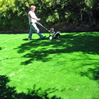 Green Lawn Irvine, California Lawn And Garden, Backyard Landscaping Ideas