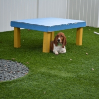 Installing Artificial Grass Seal Beach, California Watch Dogs, Commercial Landscape