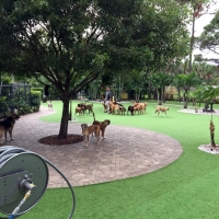 Outdoor Carpet North Tustin, California Roof Top, Commercial Landscape