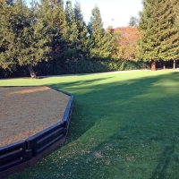 Outdoor Carpet San Clemente, California Lacrosse Playground, Parks