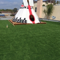 Outdoor Carpet Seal Beach, California Lawn And Landscape, Patio