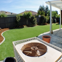 Plastic Grass Seal Beach, California Landscape Design, Backyard Designs