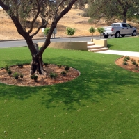 Synthetic Grass Cost Buena Park, California City Landscape, Front Yard Landscaping