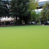 Synthetic Grass La Palma, California Home And Garden, Commercial Landscape