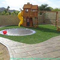 Synthetic Lawn Buena Park, California Rooftop, Backyard Landscape Ideas