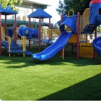 Synthetic Turf Dana Point, California Landscaping Business, Commercial Landscape