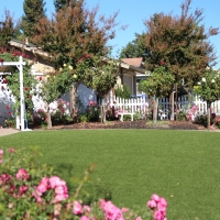 Synthetic Turf Ladera Ranch, California Lawn And Landscape, Front Yard Design