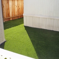 Synthetic Turf Supplier Trabuco Canyon, California Dogs, Backyard Makeover