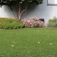 Turf Grass Foothill Ranch, California Design Ideas, Front Yard Ideas