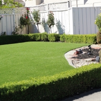 Turf Grass North Tustin, California Landscape Photos, Front Yard Ideas