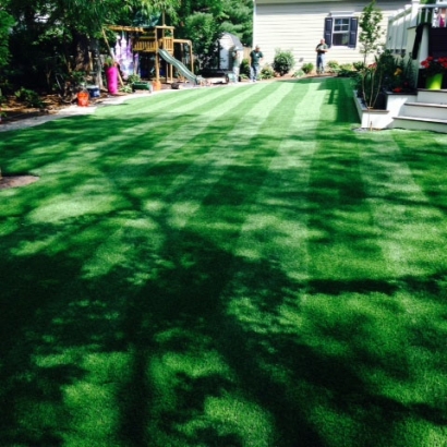 Artificial Grass Carpet Dana Point, California Landscape Design, Backyard Makeover