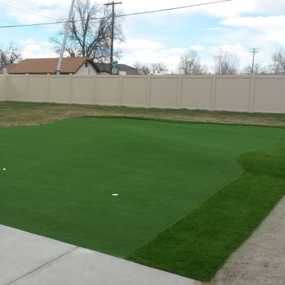 Artificial Grass Carpet Irvine, California Best Indoor Putting Green, Backyard Designs