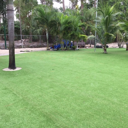 Artificial Grass Carpet Laguna Hills, California Roof Top, Commercial Landscape