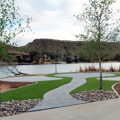 Artificial Grass Carpet Lake Forest, California Home And Garden