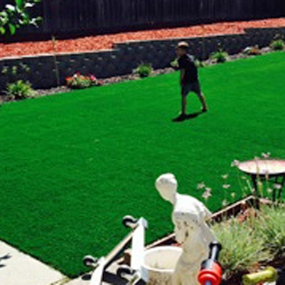 Artificial Grass Carpet Lake Forest, California Landscape Ideas, Beautiful Backyards